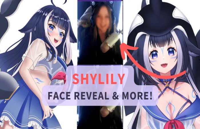 Discover Shylily’s True Identity On Twitch